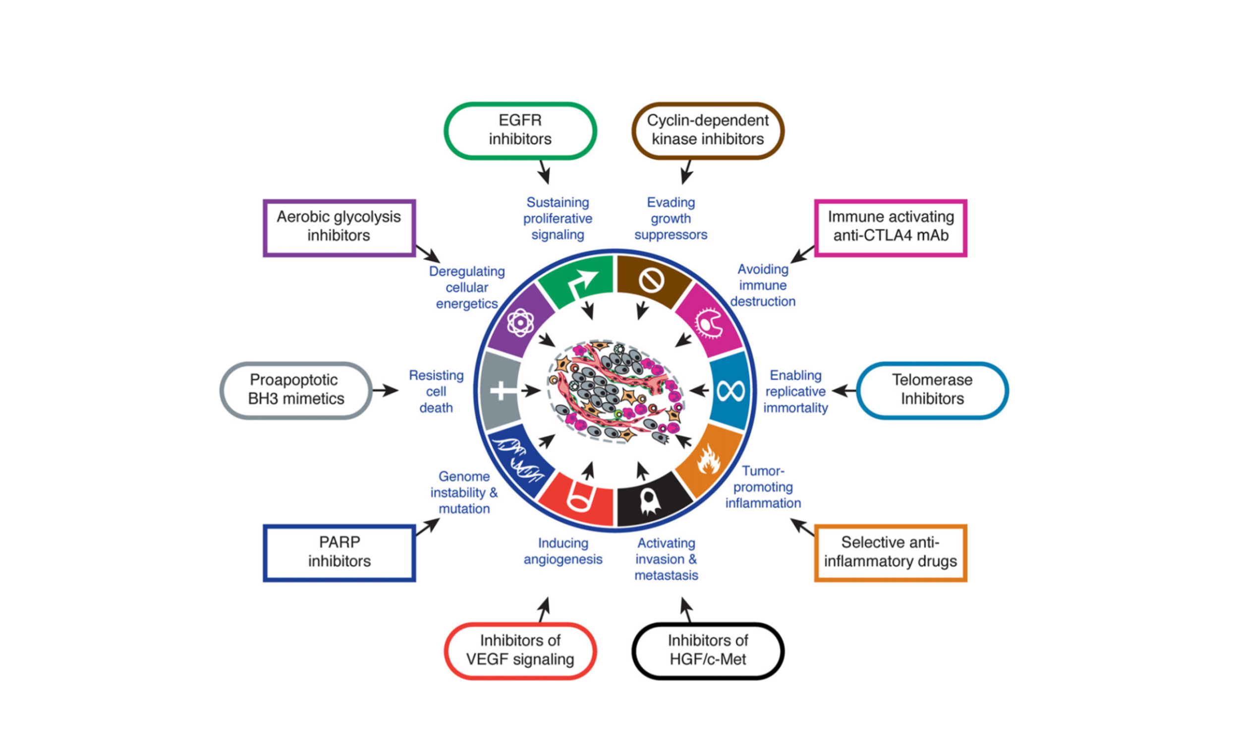 The Hallmarks of Cancer