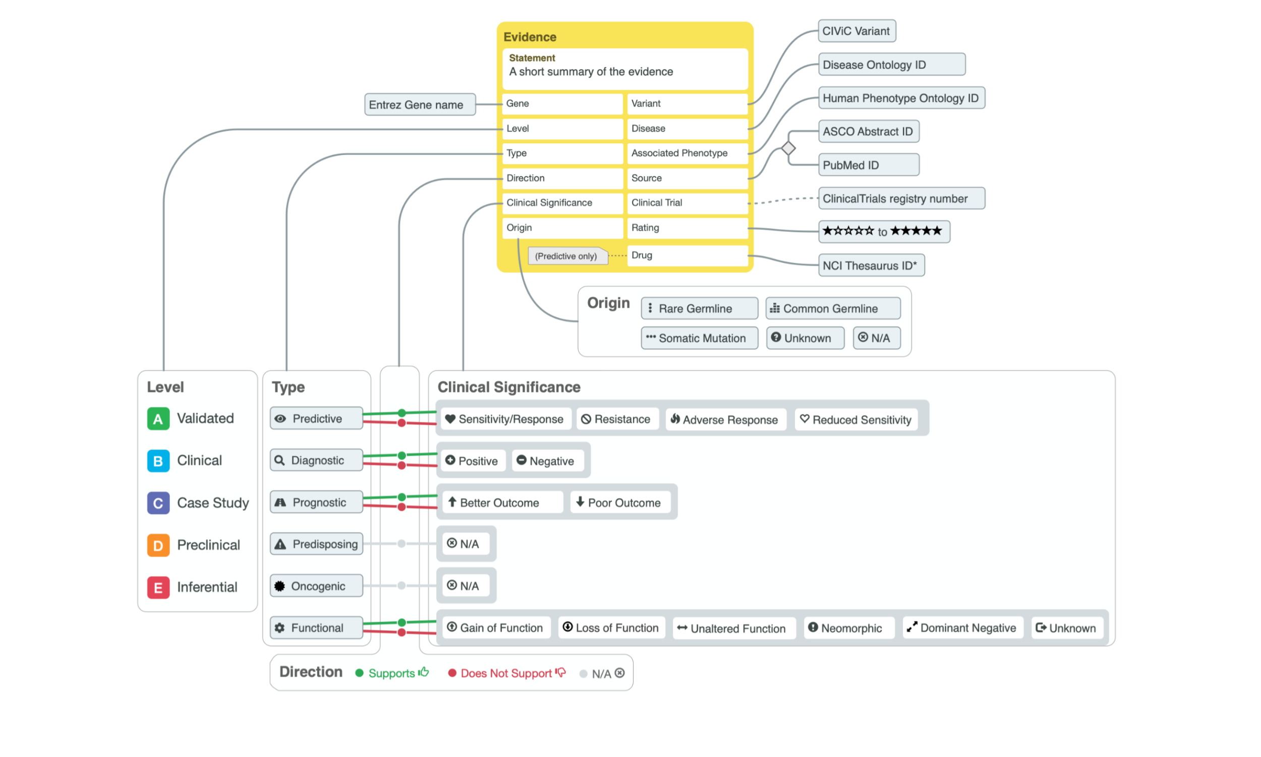 The core element of CIViC is the evidence item (or EID) which includes an unstructured, human-readable evidence statement and multiple structured elements briefly describing a key piece of evidence from the biomedical literature related to the clinical interpretation of cancer variants. Evidence is linked to a molecular profile (variant) for a specific gene, disease, and optional phenotype. Evidence is further categorized into 6 types and 5 levels as shown.