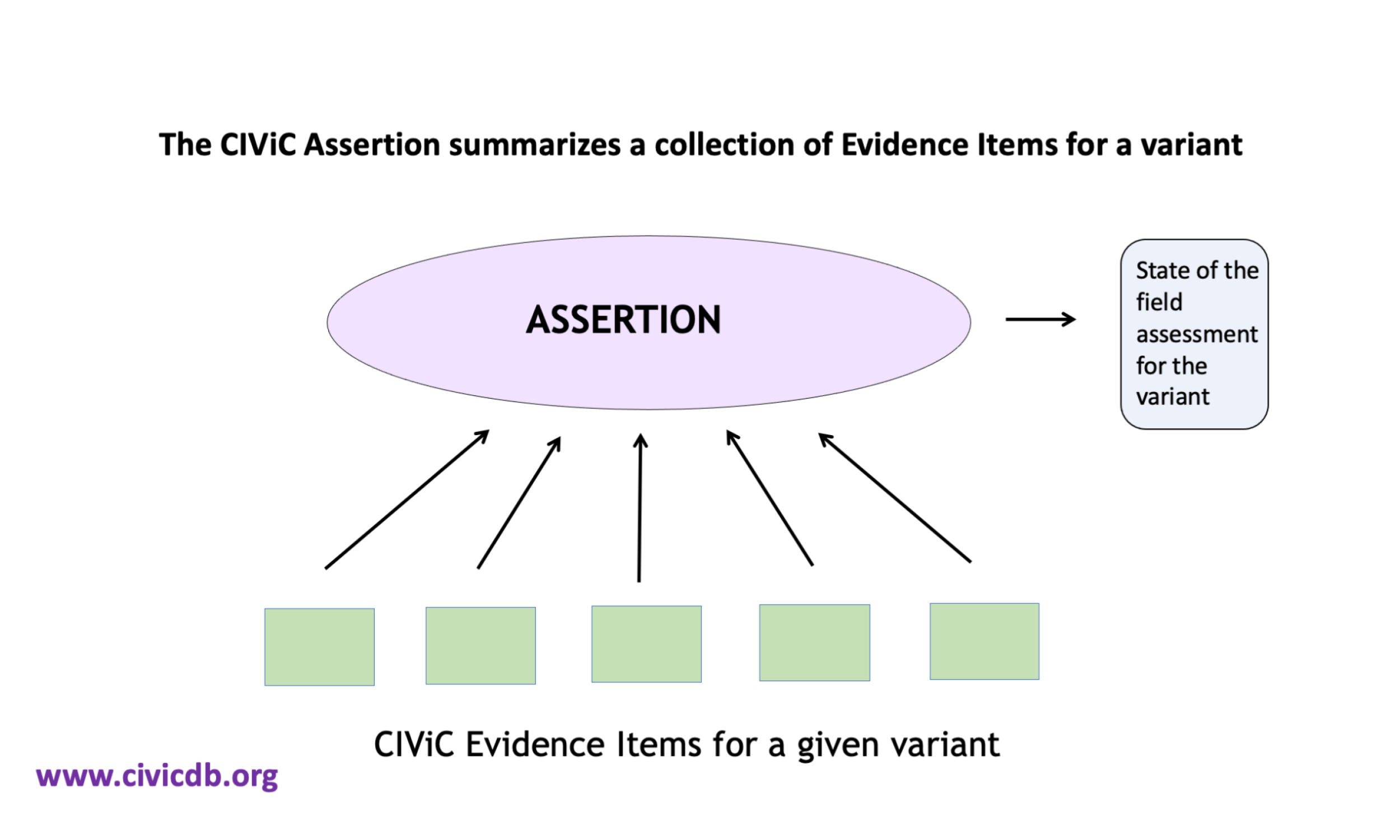 CIViC Assertions summarize a collection of evidence into a state of the field assesment of the variant